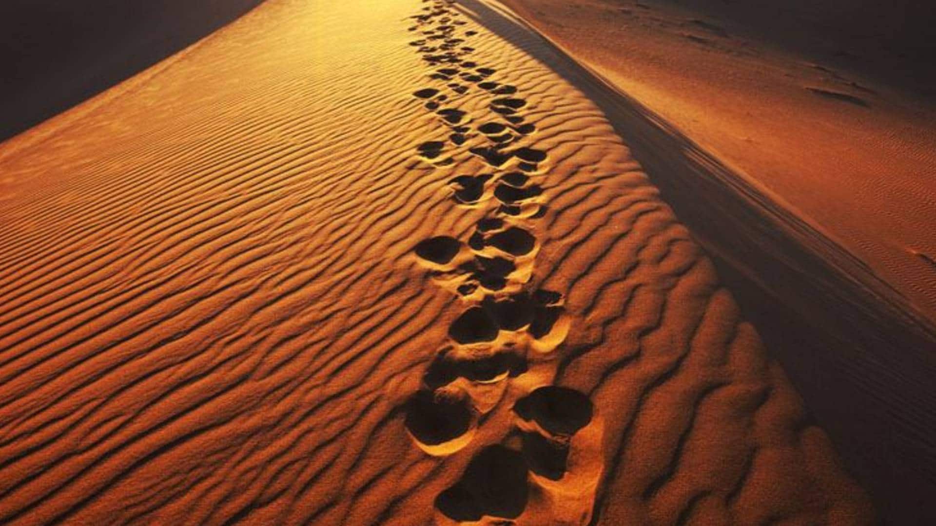 120 bin yıllık ayak izleri bulundu