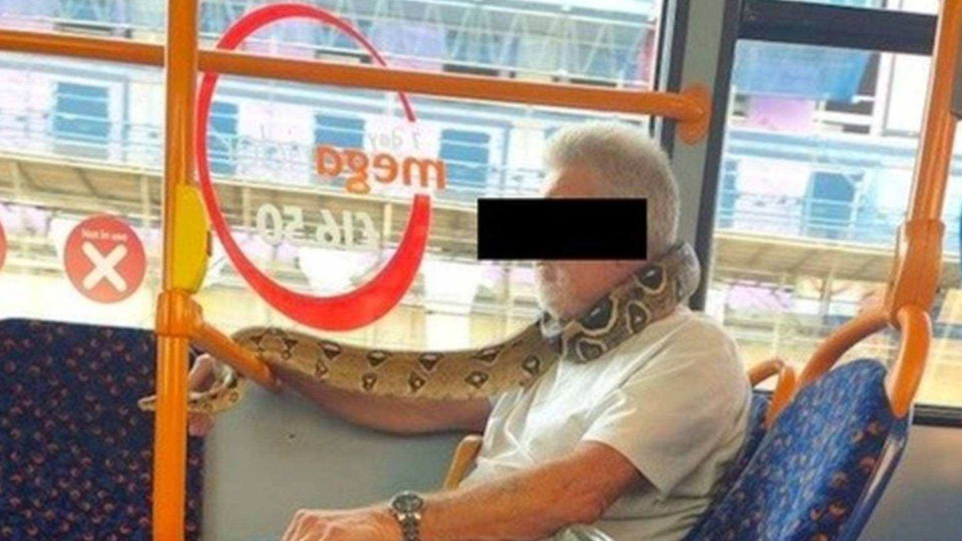 İngiltere'de bir adam kişi yılanı maske olarak kullandı!