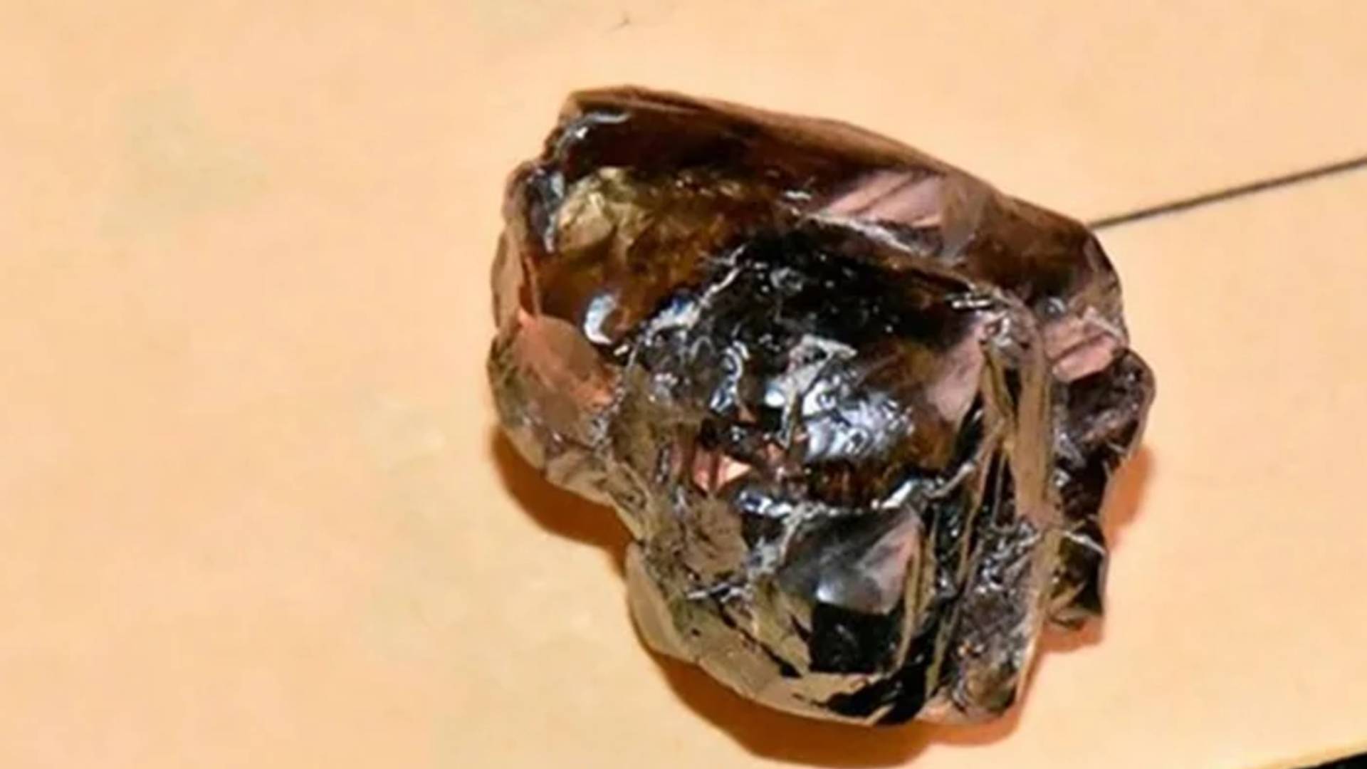 Parkta yürürken buldu! Tarihin en büyük elması... (1)