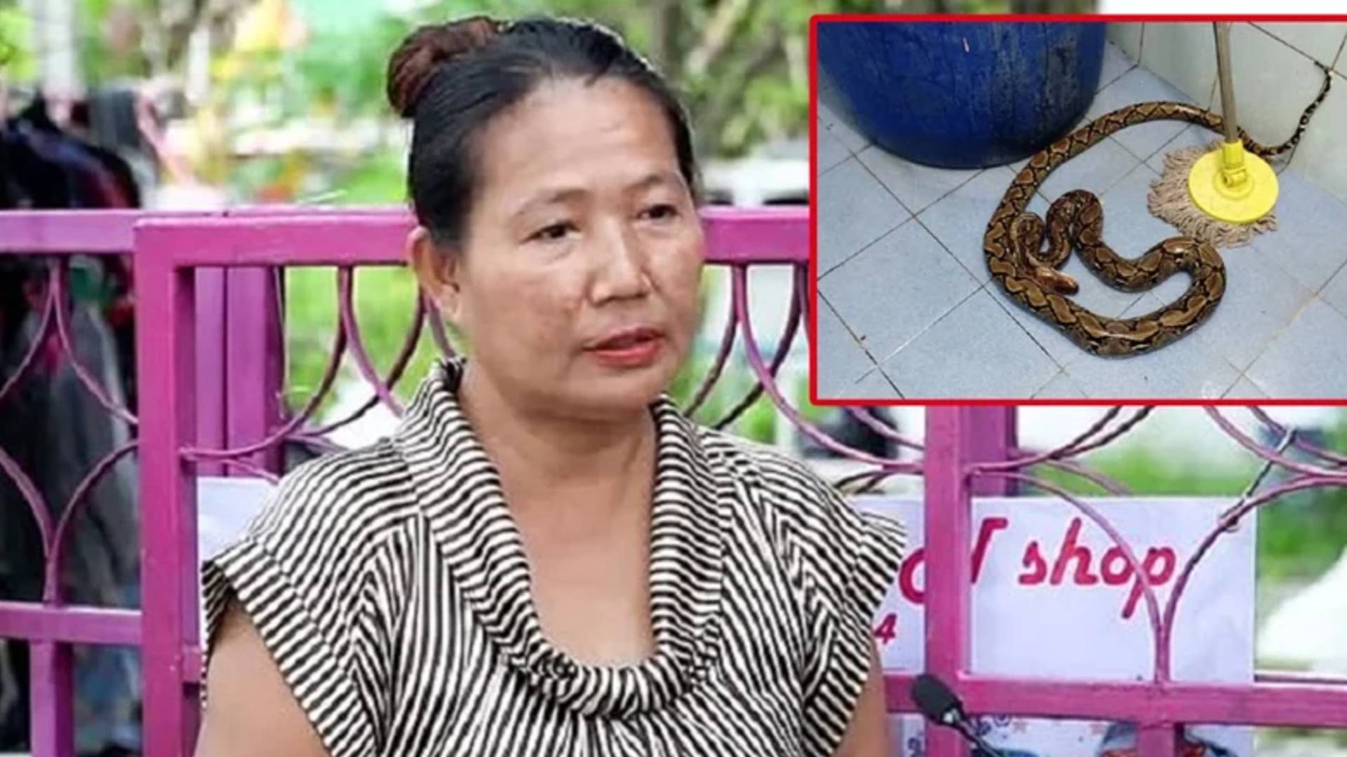 Akıllara durgunluk veren olay! Tuvalette piton ısırdı