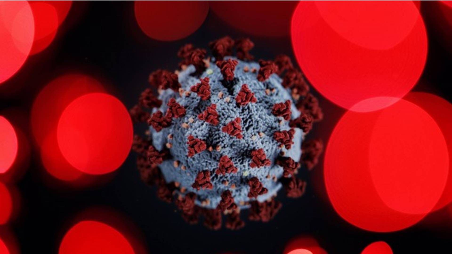 Araştırma_ Koronavirüs insan derisinde ne kadar kalıyor_