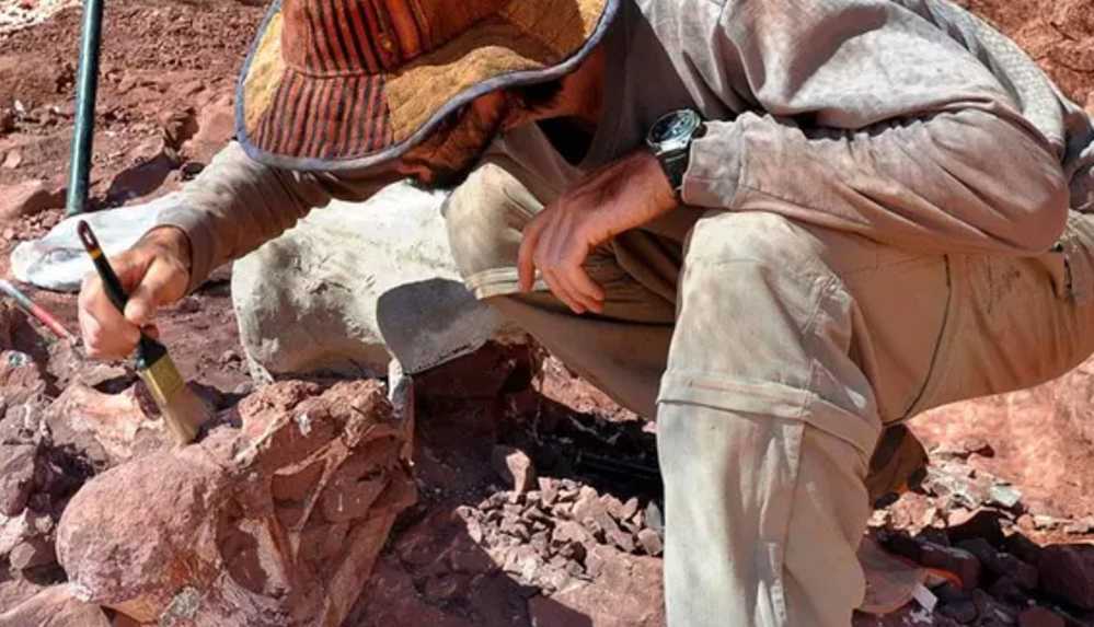 Arjantin'de 70 milyon yıllık dinozor kalıntıları bulundu