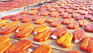 Bottarga-Nedir-