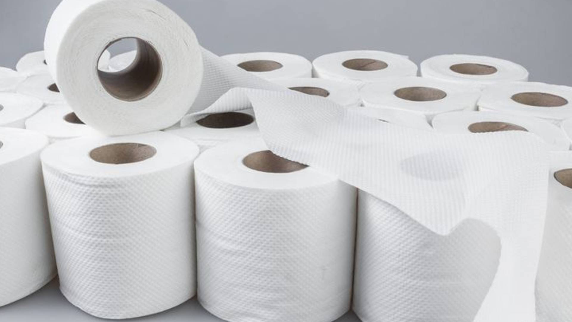 Hollanda'da evden çalışanlara ′tuvalet kağıdı′ desteği, faturayı patron ödeyecek