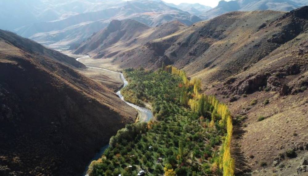 Köyüne döndü, oluşturduğu bahçe ile Başkalelilere örnek oldu (1)