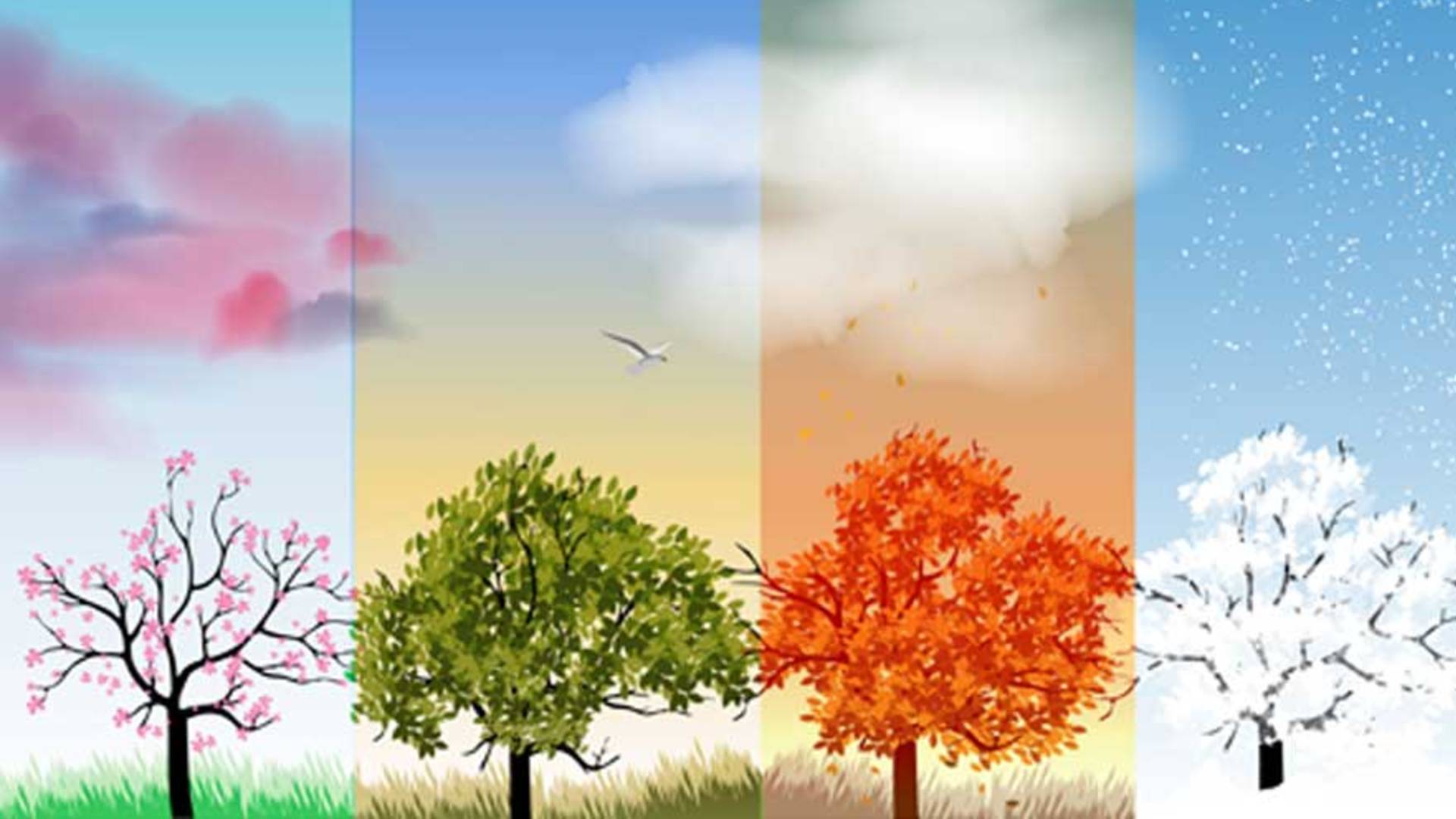 Yeni biyolojik araştırma_ İnsan vücuduna göre dört değil, iki mevsim var