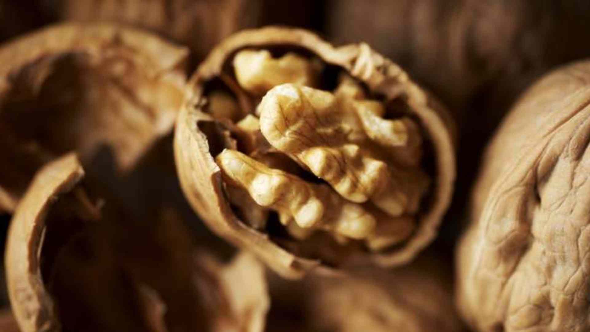 Araştırma_ Fındık ve ceviz gibi kabuklu yemişler, sperm kalitesini artırıyor