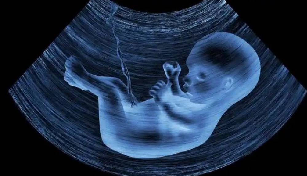 Anne karnındaki bebekleri sarmalayan plasentada ilk kez mikroplastik parçacıklar bulundu; araştırmacılar bunun _çok kaygı verici_ olduğunu söylüyor.