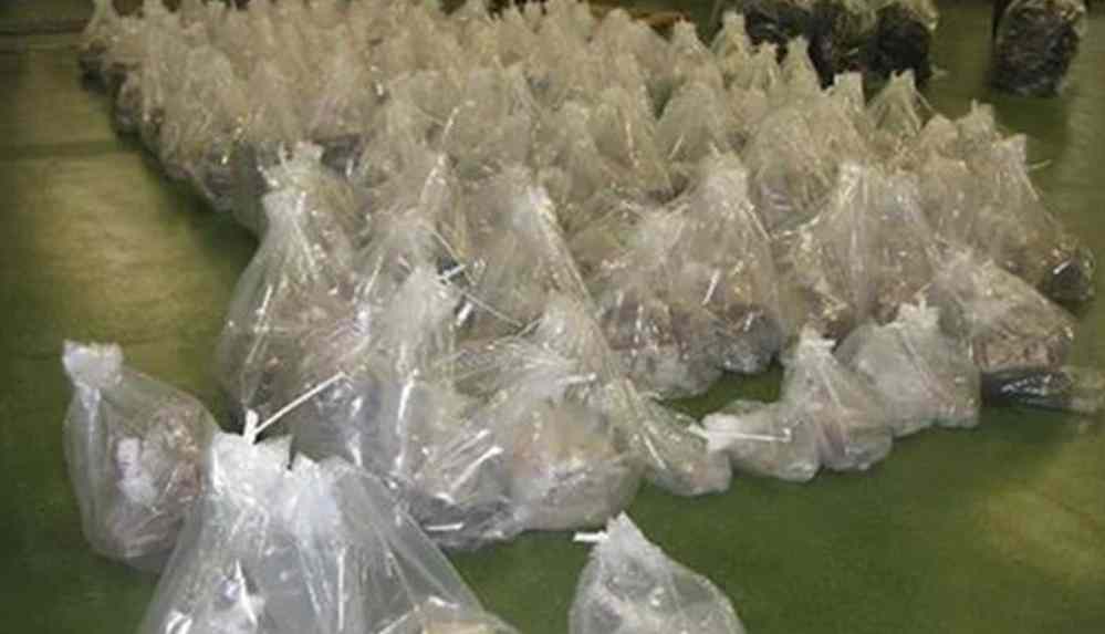 İngiltere’de muz posası kargosunda 100 milyon sterlin değerinde uyuşturucu ele geçirildi