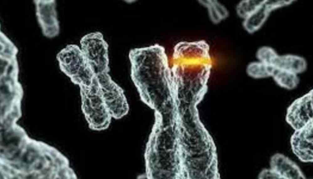 Virüsün mutasyona uğraması nedir_ Mutasyon ve Varyant ne demek_