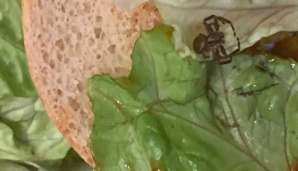 Araknofobisi-olan-kadinin-McDonalds-hamburgerinden-orumcek-cikti