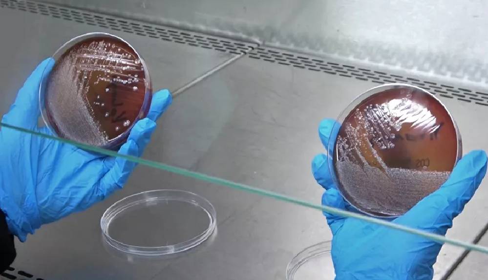 Yıkanan veya kolonya sıkılan maskede sonuç değişmiyor, bakteri oluşumunu engellemiyor