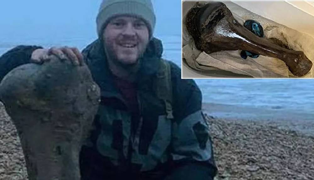 İngiltere'de 125 bin yıl öncesine ait fil fosili bulundu