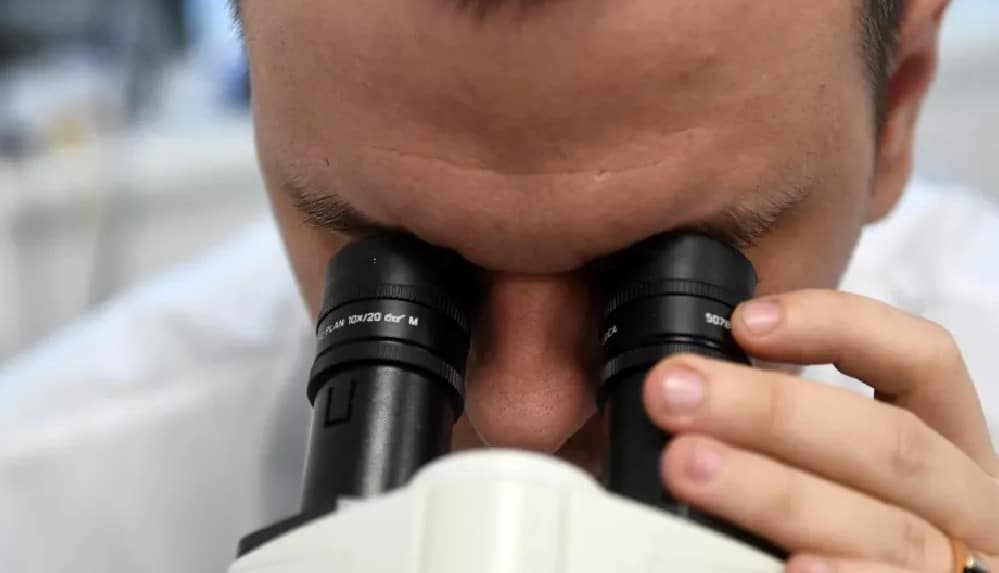 Rusya’da bir insanda ilk kez H5N8 türevi kuş gribine rastlandı_ İnsanlara geçtiği ilk defa doğrulandı