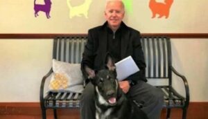 Biden’ın köpeği bir kişiyi daha ısırdı