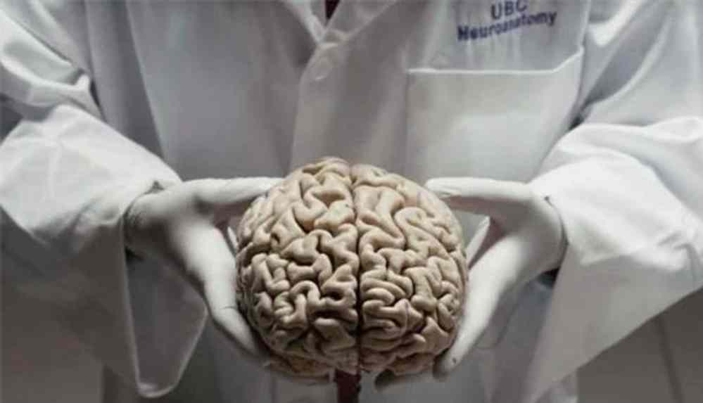 Araştırmalar ortaya çıkardı! Yaşanılan çevre insan beynini etkileyebilir