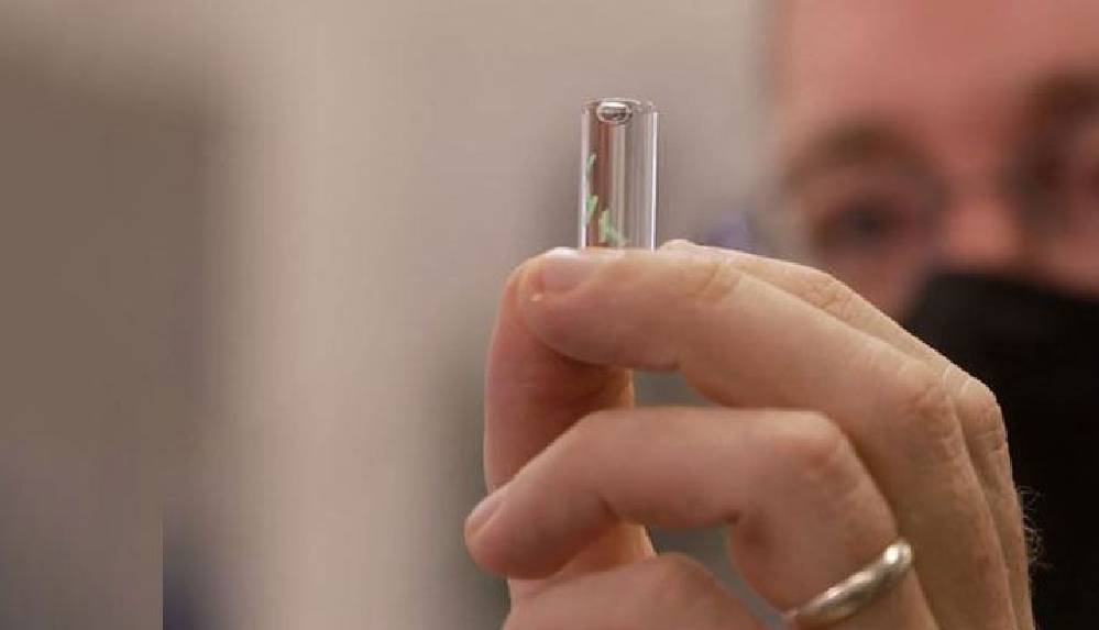 Derinin altına yerleştirilecek mikroçip koronavirüsü tespit edecek