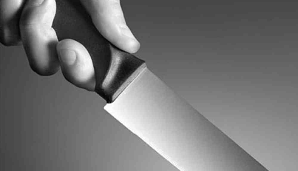 Gelin tartıştığı kayınvalidesini bıçakladı (1)