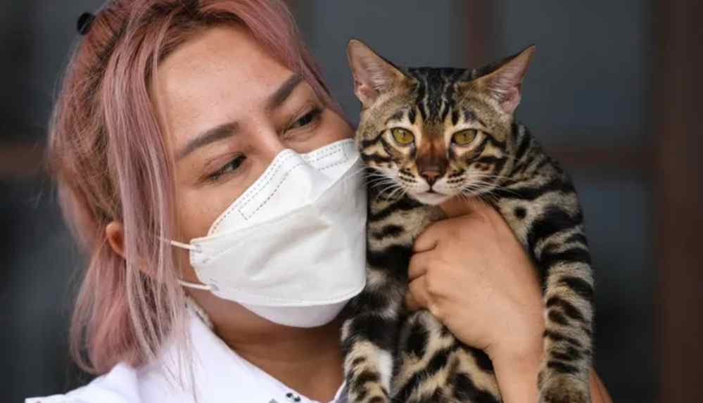 Rusya_ Hayvanları Covid'den koruyacak aşının ilk partisi üretildi