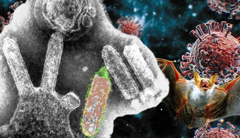 Yarasalarda-yeni-bir-virüs-bulundu-Önce-felç-ediyor-sonra-öldürüyor