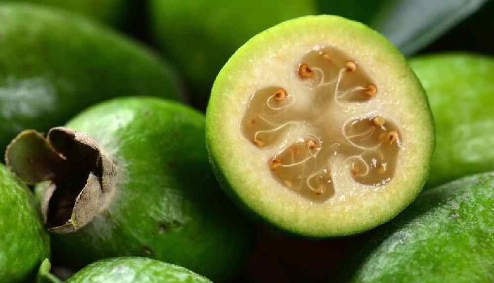 Yeni Zelanda’yı ikiye bölen meyve