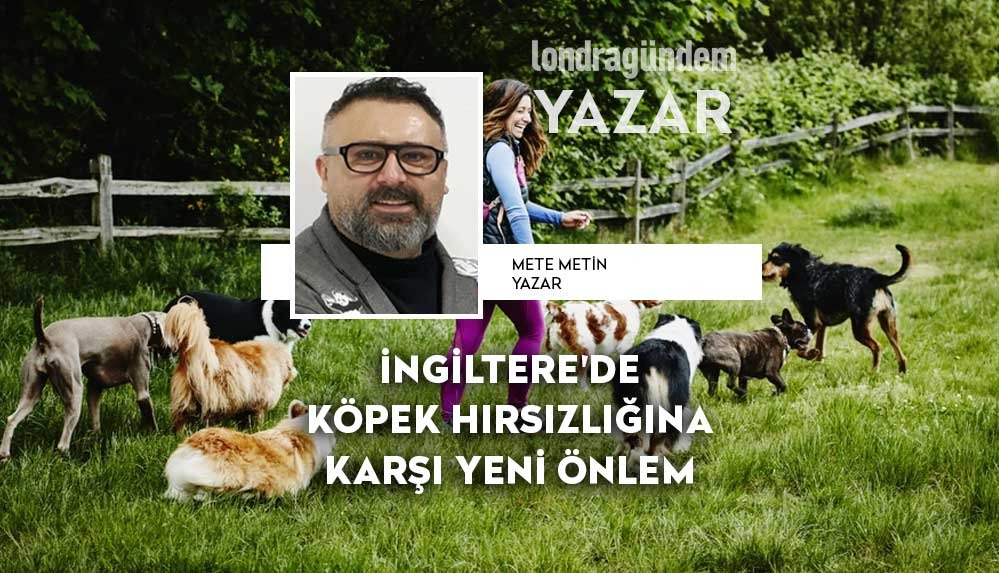 0122c52d-2b03-418b-9196-6e4479637fbb