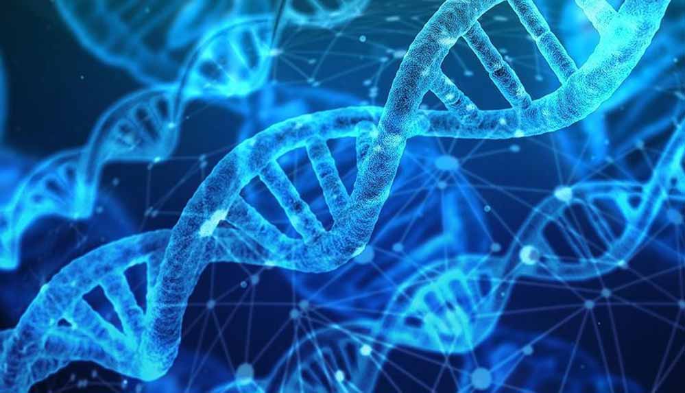 bilim-insanlari-gen-terapisi-ile-kor-bir-kisinin-gorusunu-kismen-geri-kazandirdi