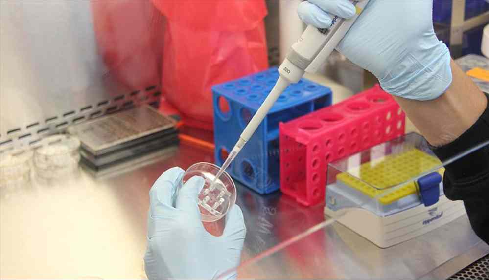 İngiltere'de PRC testi uyanıklığı... 48 poundluk testi 399 pounda satıyorlar!