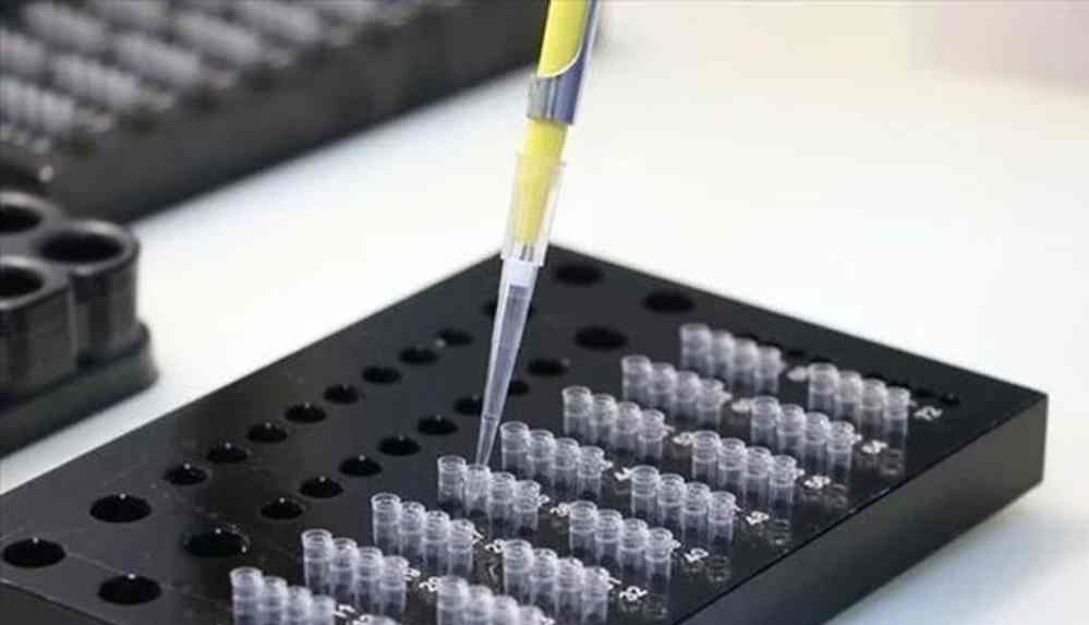 Kovid-19'un Hindistan varyantı, İngiltere varyantından yüzde 60 daha bulaşıcı