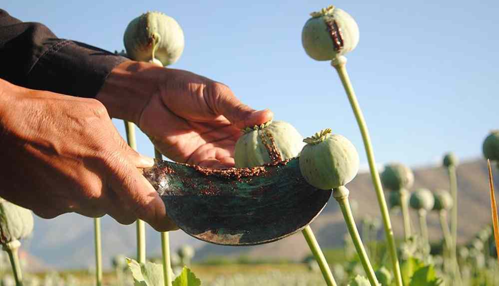 Uyuşturucu kaçakçılığından hapis yattı… Ülkesine dönüp polis oldu!