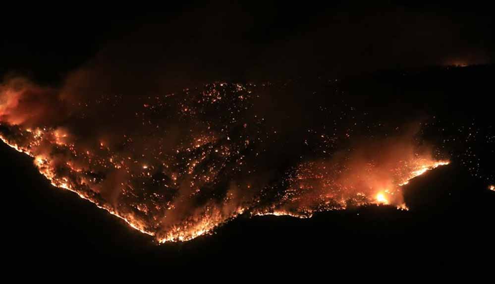 Diğer-ülkelerden-Türkiye'deki-yangınlar-için-dayanışma-mesajları