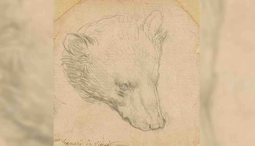 Leonardo-Da-Vinci'nin-ayı-çizimi-açık-arttırmayla-satıldı