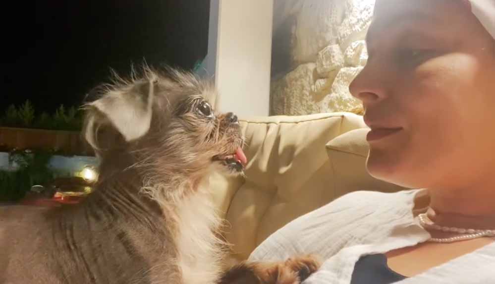 Ezgi-Mola'nın-köpeği-Suşi-hayatını-kaybetti