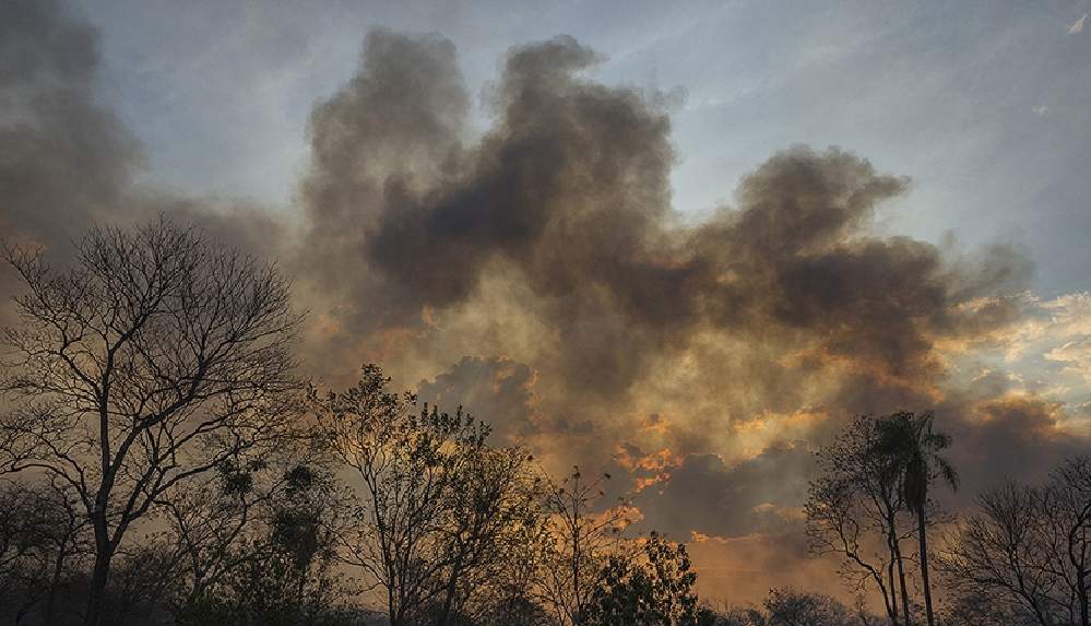 brezilya-amazonlarinda-yanginlar-agustosta-bes-kattan-fazla-artti
