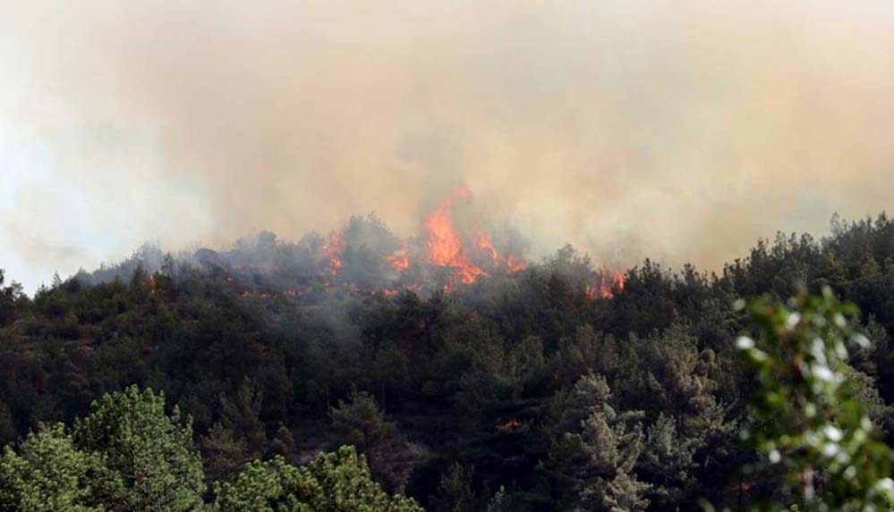 karabukte-ormanlik-alanda-cikan-yangina-mudahale-ediliyor