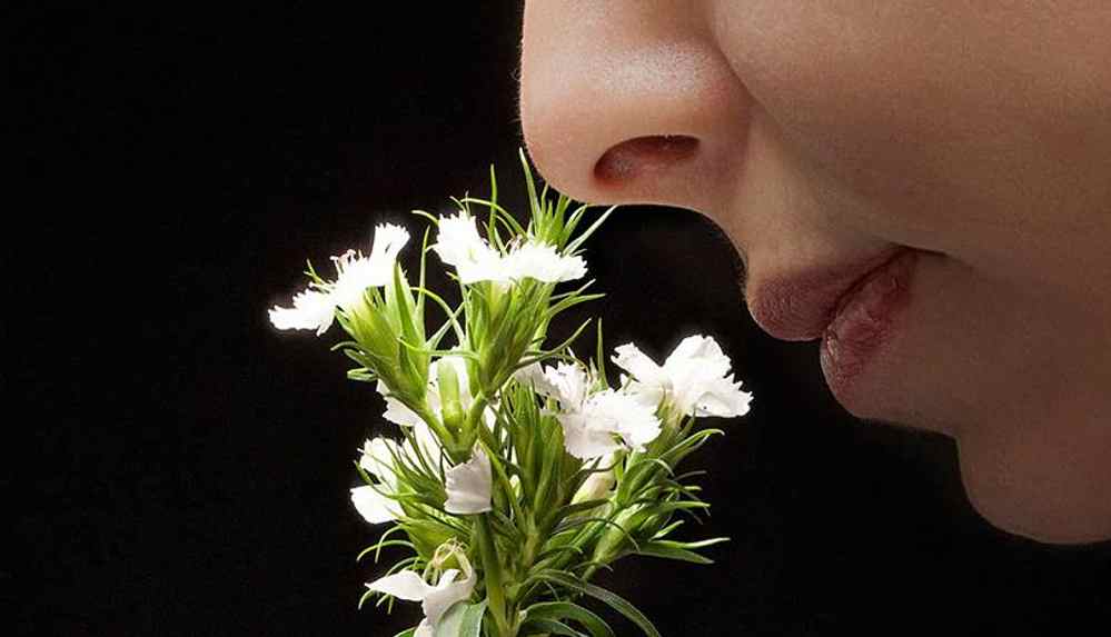 İngiltere'de A vitamininin hastalık sonrası koku kaybının tedavisinde faydalı olup olmayacağı araştırılıyor