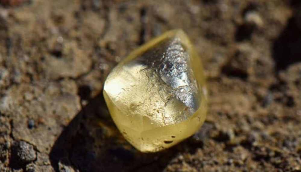 Parkta dolaşırken 4.38 karatlık elmas buldular, değer biçilemedi