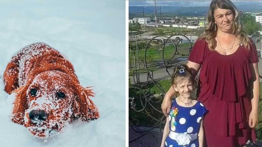 10-yasindaki-cocuk-kar-firtinasinda-sokak-kopegine-sarilarak-hayatta-kaldi-tj2Y