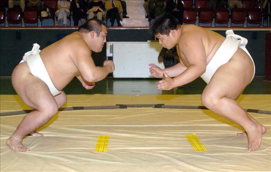 sumo
