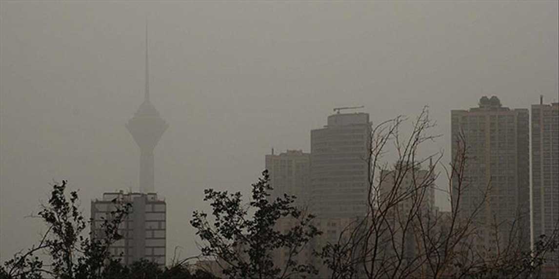 thumbs_b_c_b021feb5c547c78631e1a908bd8eb45f