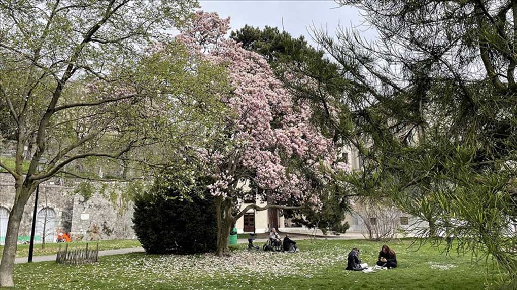 thumbs_b_c_eb426bcc9bfbe4e18d1b70eb19867832