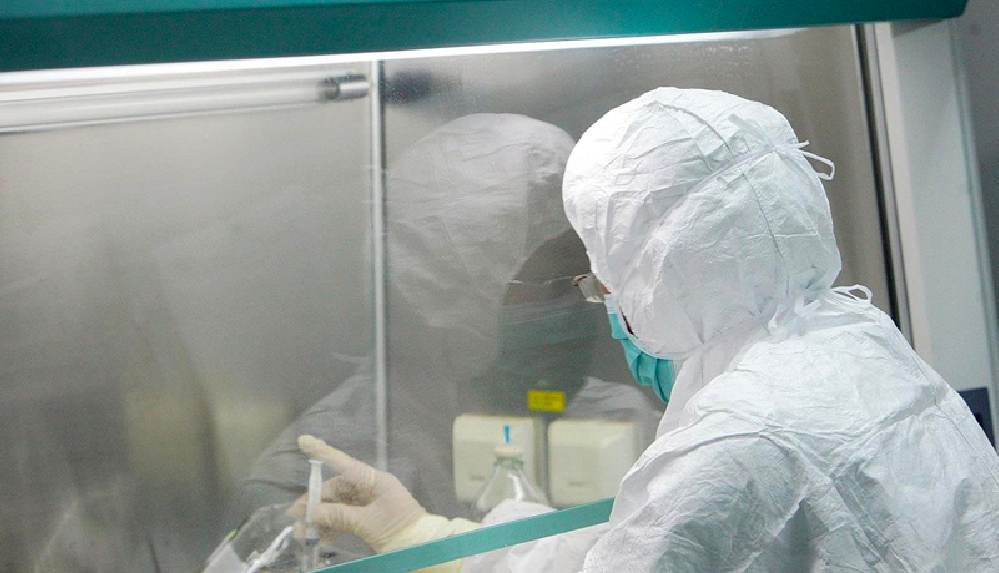 maymun çiçeği virüsü