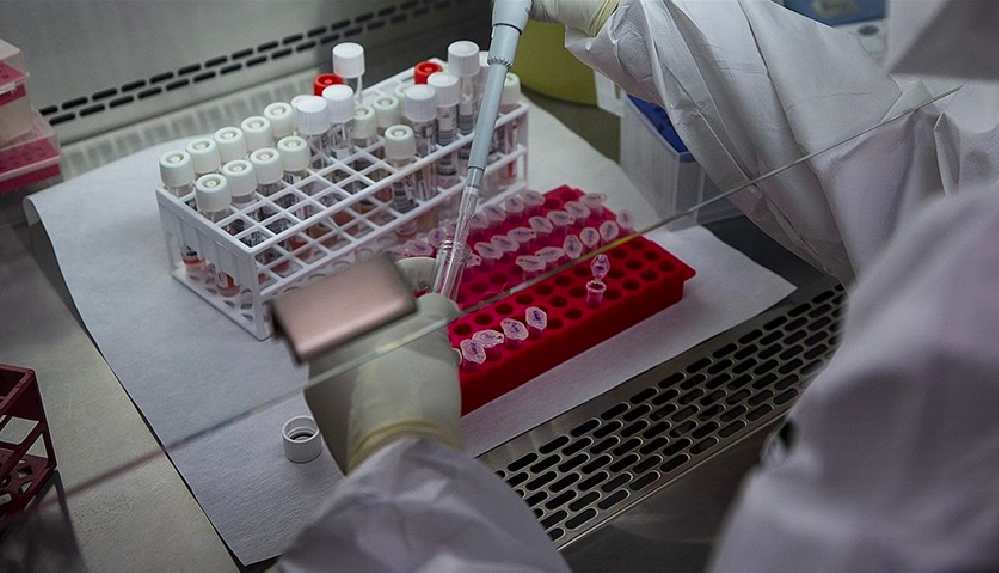 maymun çiçeği virüsü