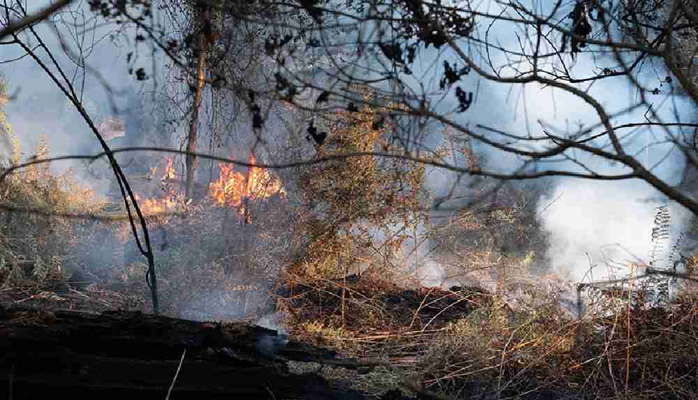 Fransa’da 700 hektar alan kül oldu