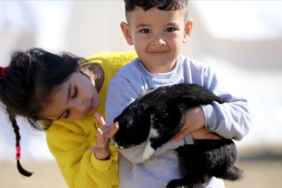 site foto ölcusu (51)