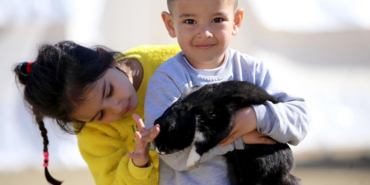 site foto ölcusu (51)