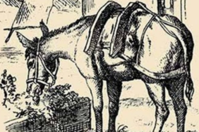 site foto ölcusu - 2023-02-28T210841.821