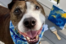 site foto ölcusu - 2023-03-10T190259.229