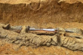 site foto ölcusu - 2023-03-13T194519.326