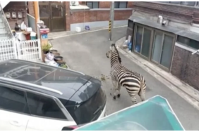 site foto ölcusu - 2023-03-24T111513.460